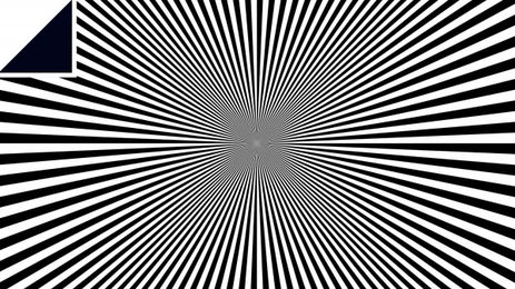 Neural networks don’t understand what optical illusions are