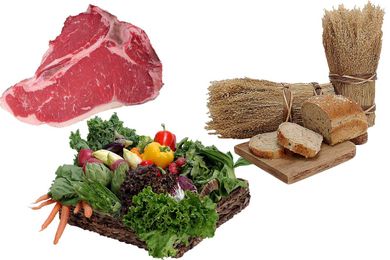 Why you shouldn’t judge a pet food by its ingredient list