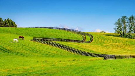 Climate Control Heating & Air Conditioning reviews