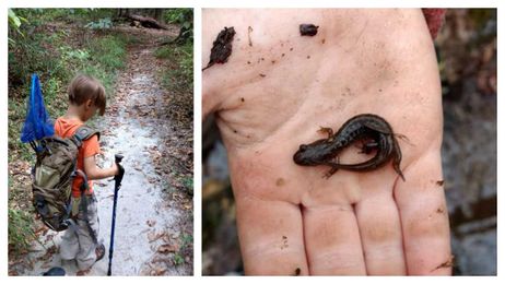 This Is Why Kids Need Less Time In Desks And More Time Outside