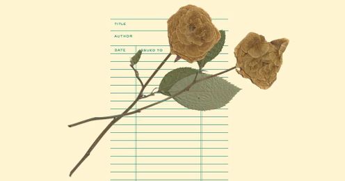 12 Authors Write About the Libraries They Love