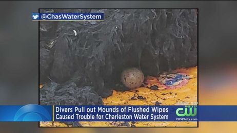 Divers Pull Mounds Of Flushed Wipes From Water System