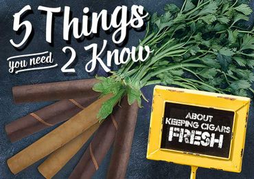 5 Things You Need to Know About… Keeping Cigars Fresh