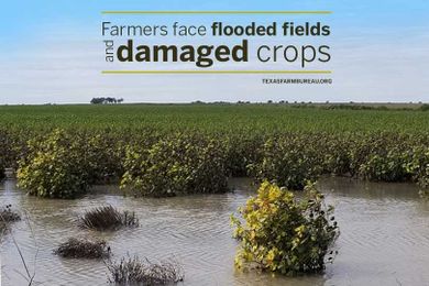 Farming with Mother Nature isn't easy