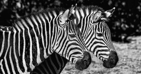 What To Do When Not Just Any Travel Insurance Will Do