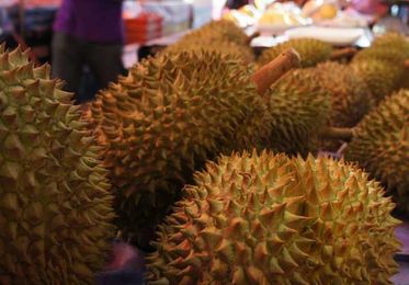 Tell Us How You Overcame Your Biggest Food Fear