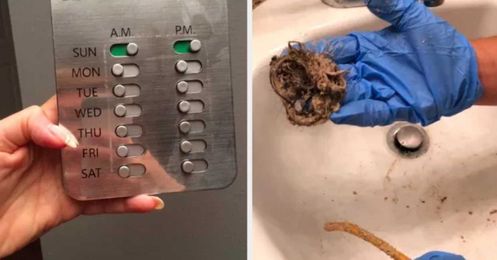 26 Money-Saving Products That Actually Solve Your Small Problems