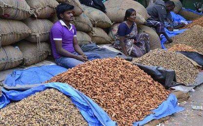 Making oilseeds procurement work