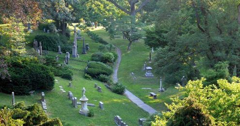 Cemeteries are the perfect spot to track our planet’s demise