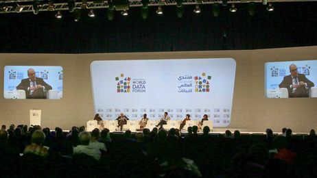 Solutions to the big data challenge at the UN World Data Forum