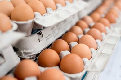 Wait, 'a Dime a Dozen' Used to Refer to Eggs?