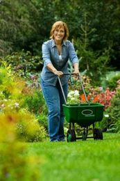 Five steps to a more beautiful landscape this fall