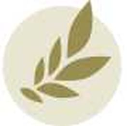 Get to know Scott Kubie