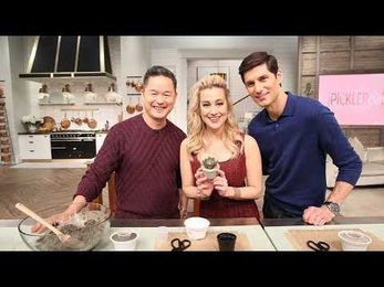 Easy, One Step DIY Crafts With Danny Seo!