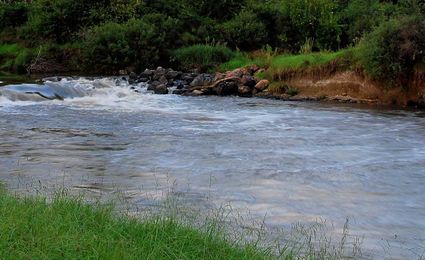 Eating Fish From the Klip River Can Give You Cancer