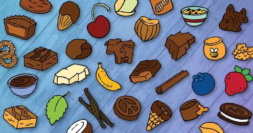 10 Fun Facts About Our Funky Chunks