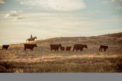 3 Tips for Buying a Ranch Farm