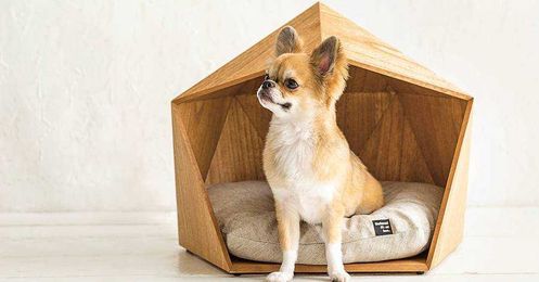 5 Pet Homes That Humans Will Envy