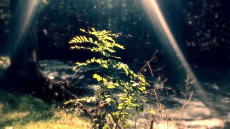 Generations Yet to Come