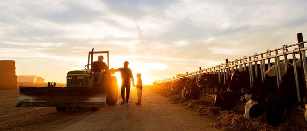 Heartwarming to Breathtaking: Our Favorite Farm Photos