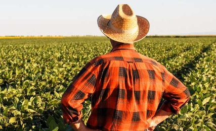 Help Landowners With Pumpkin Patches and Tree Farms Reduce Their Risk