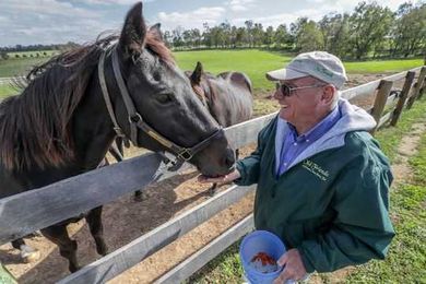 More than just a farm: How Old Friends gives new life to racehorses
