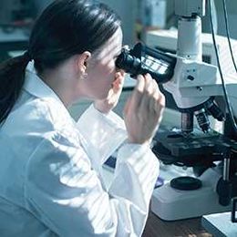 Organic Rubber Compounding: A Material Difference