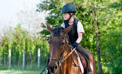 Building a case for long-term animal therapy studies 