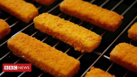 Fish fingers 'surprisingly sustainable'