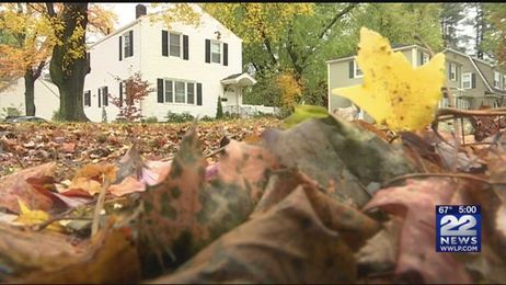 Wet leaves clogging gutters, drains in local areas