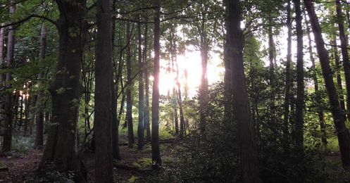 Autonomous Drones Explore Without GPS and Help Find Lost Hikers