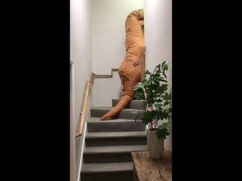 T-Rex shops for a new bed!