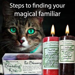 Steps to finding your magical familiar