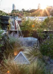 These Clever Landscape Designs Rise to the Challenge