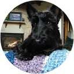 Gallery: See our roofing work