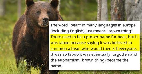 15 Fascinating Origins of Words You Use Every Day