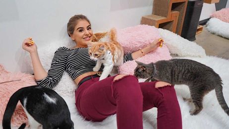 I WENT TO A CAT CAFE (I'm allergic)