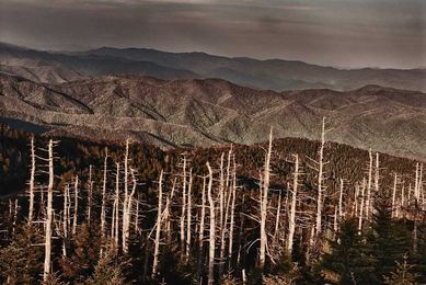 Is there a market-based solution to Southeast Asia’s haze problem?