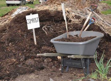 It's time to kick these 12 bad gardening habits