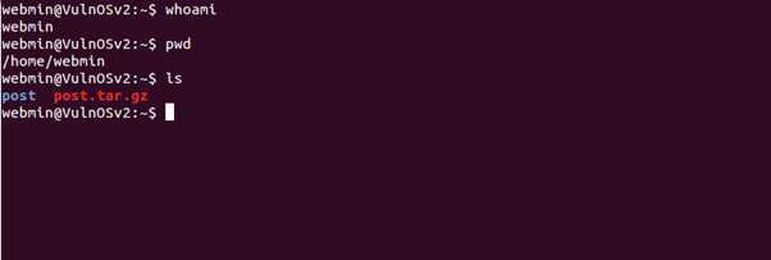 Privilege Escalation on Linux with Live examples