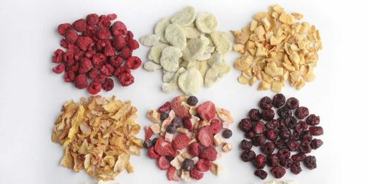 How to Freeze-Dry Food