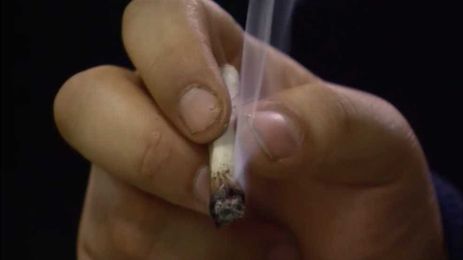 Doctors, patients on the medical effects of marijuana