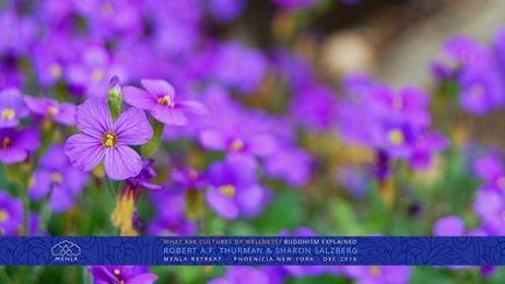 What are Cultures of Wellness? Buddhism Explained with Sharon Salzberg