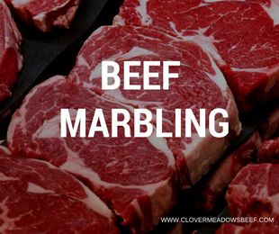 Beef Marbling: Why is Marbling Important in Meat?