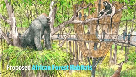 No lion: We don’t need to move Land Park’s Sacramento Zoo