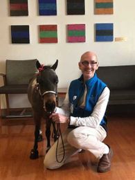 Stuck in the Hospital? You May Get a Visit from a Mini Horse.