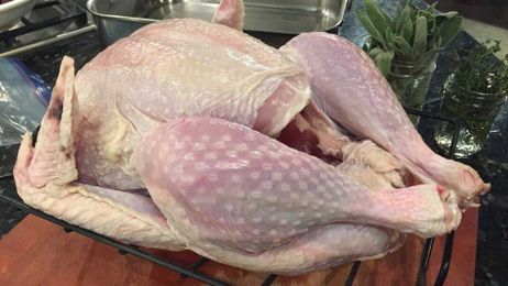 Can I carry my turkey through TSA security?