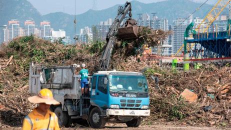 How Hong Kong plans to replace 100,000 trees