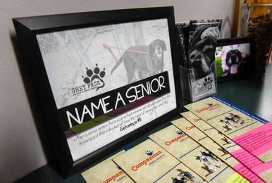 What happens to your pets when you die? Planning can protect them