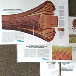 What Influenced You to Choose a Forestry Career?